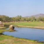 Nature & Wildlife: Southern Asia Highlights