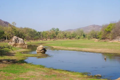 Nature & Wildlife: Southern Asia Highlights